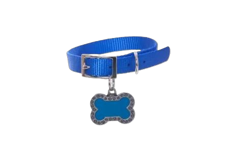 Pet Accessories