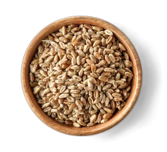 Grains and Cereals