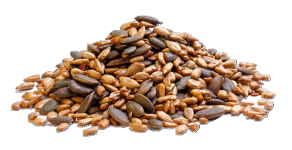 Seeds and Fertilizers